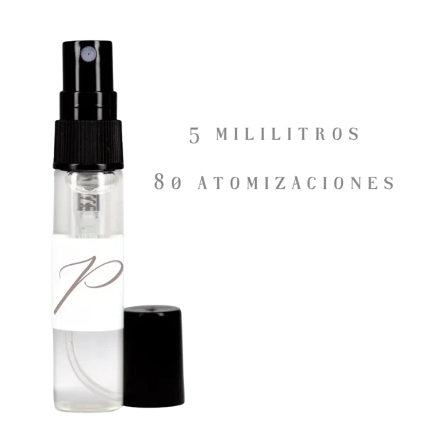 Ombré Leather | Tom Ford